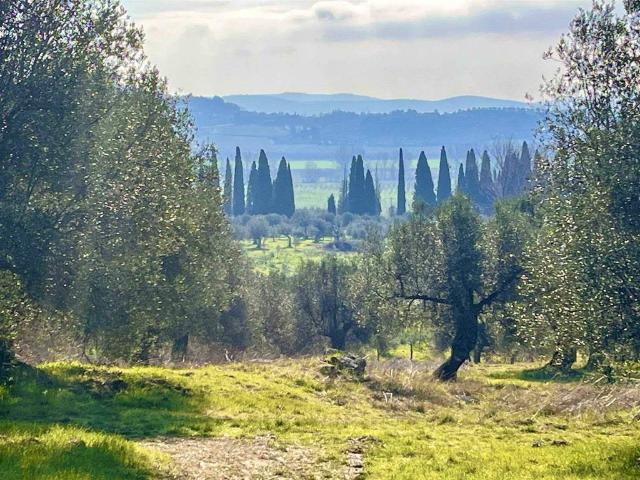 Terreno in vendita a Passignano Sul Trasimeno, Umbria