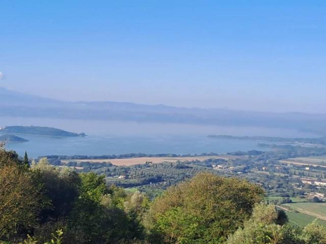 Terreno in vendita a Passignano Sul Trasimeno, Umbria