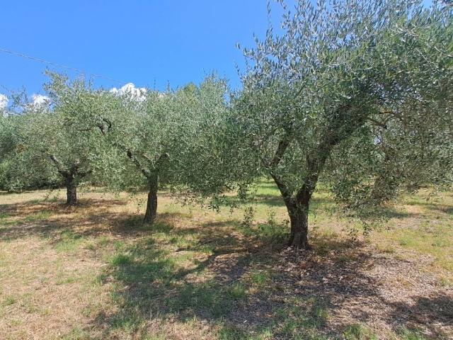 Terreno in vendita a Cerqueto, Passignano Sul Trasimeno