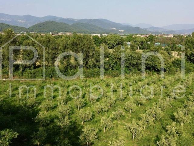 Terreno in vendita a Passirano, Lombardia