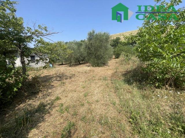 Terreno in vendita a Camigliano, Campania