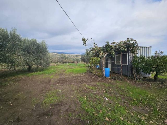 Terreno in vendita a Pastorano, Campania