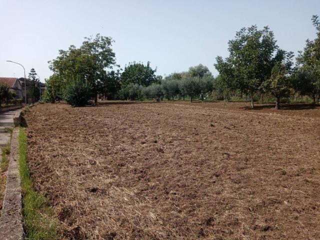 Terreno in vendita a Pastorano, Campania