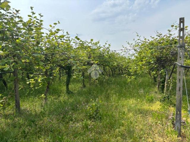 Terreno in vendita a Pastrengo, Veneto