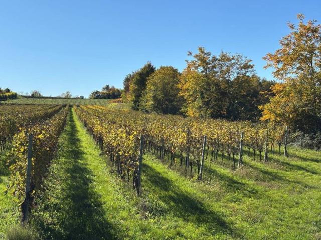 Terreno in vendita a Pastrengo, Veneto