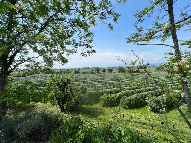 Terreno in vendita a Pastrengo, Veneto