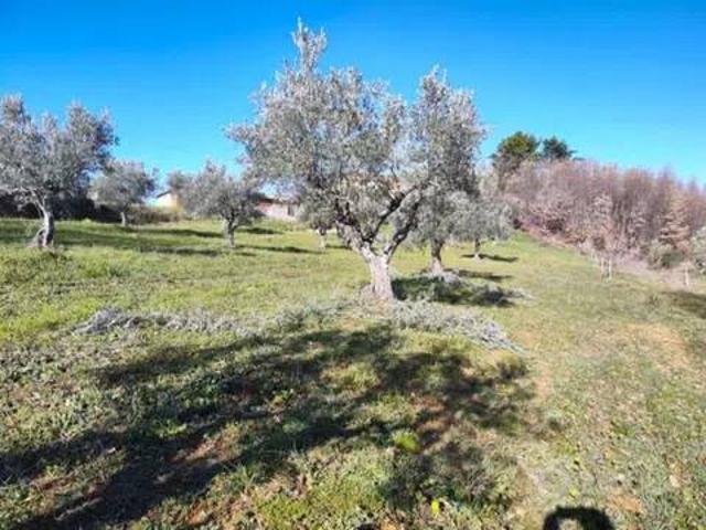 Terreno in vendita a Calabria, Cosenza