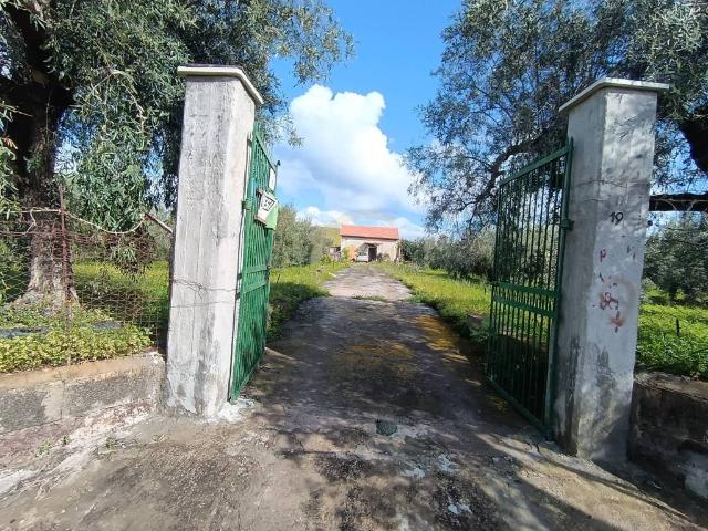 Terreno in vendita a Paternò, Sicilia