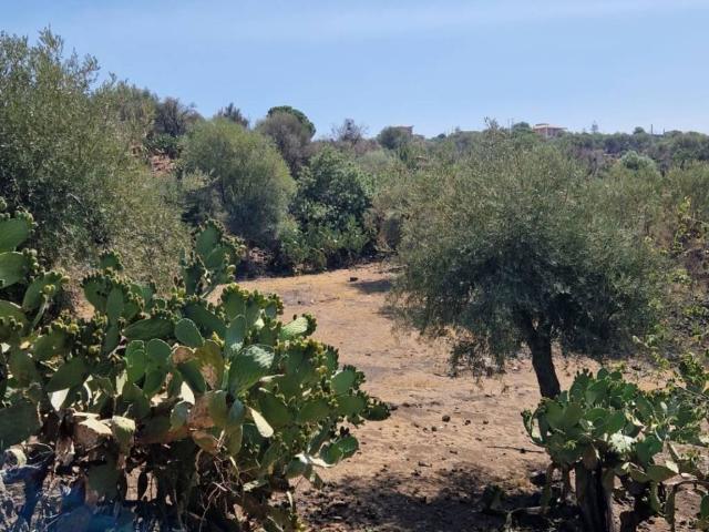 Terreno in vendita a Paternò, Sicilia