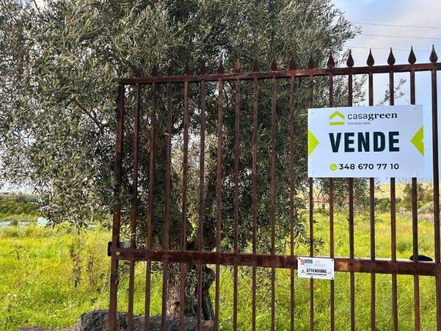 Terreno in vendita a Paternò, Sicilia