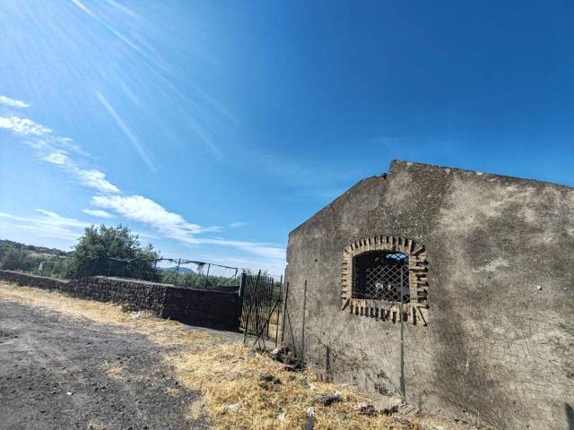 Terreno in vendita a Santa Maria Di Licodia, Sicilia
