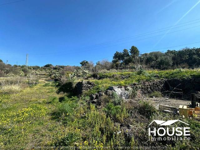 Terreno in vendita a Santa Maria Di Licodia, Sicilia