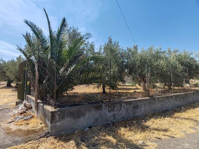 Terreno in vendita a Paternò, Sicilia