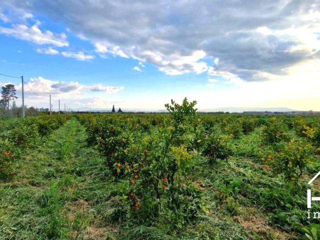 Terreno in vendita a Paternò, Sicilia