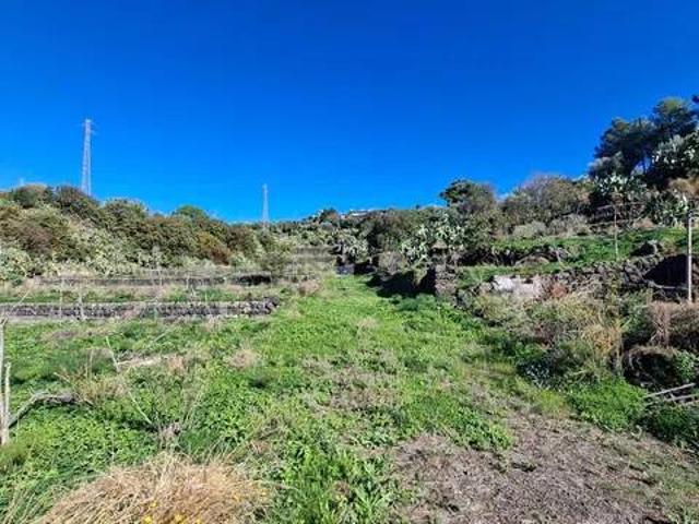 Terreno in vendita a Santa Maria Di Licodia, Sicilia