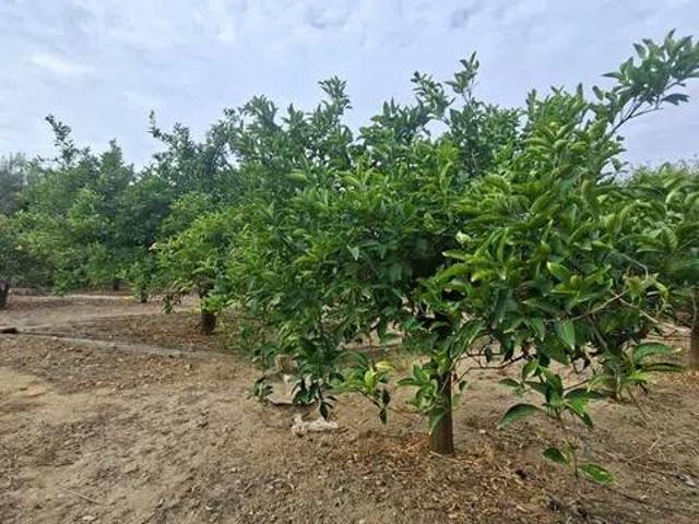 Terreno in vendita a Paternò, Sicilia