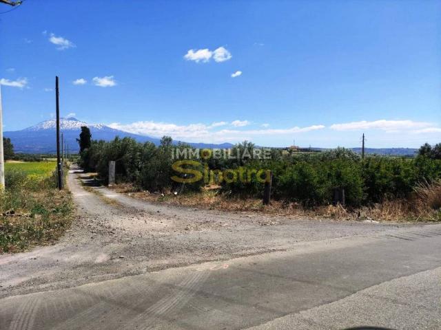 Terreno in vendita a Paternò, Sicilia