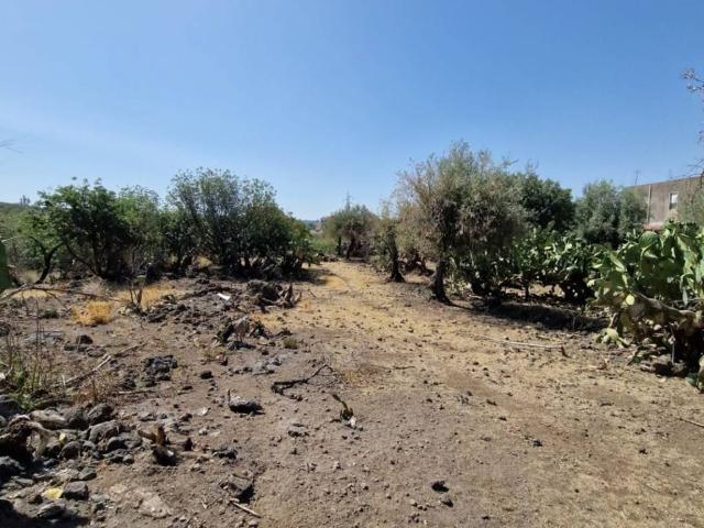 Terreno in vendita a Paternò, Sicilia