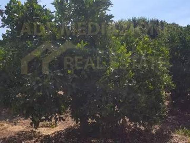 Terreno in vendita a Paternò, Sicilia