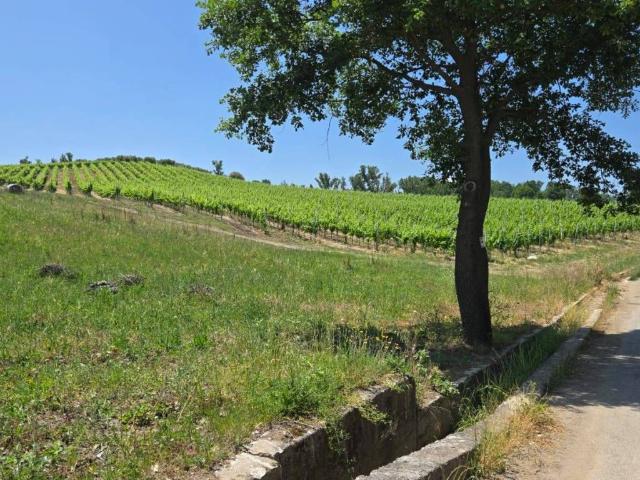 Terreno in vendita a Paternopoli, Campania