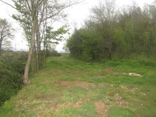 Terreno in vendita a Patrica, Lazio