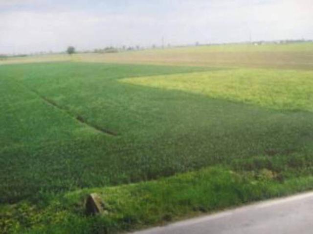 Terreno in vendita a Patrica, Lazio