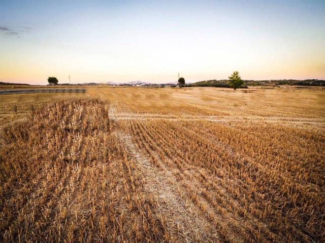 Terreno in vendita a Patrica, Lazio