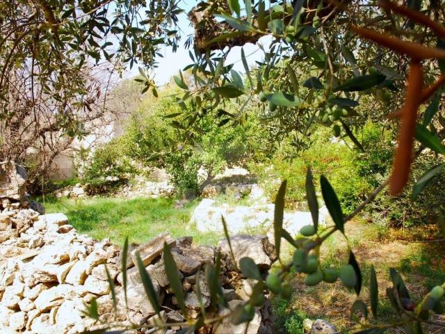 Terreno in vendita a Puglia, Lecce