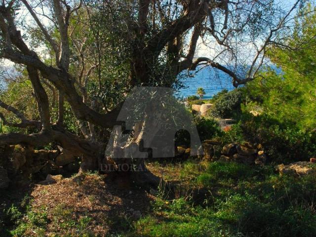 Terreno in vendita a Puglia, Lecce