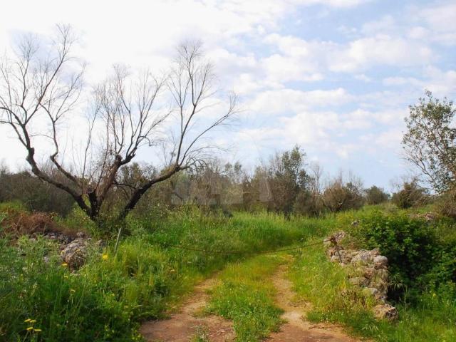 Terreno in vendita a Puglia, Lecce