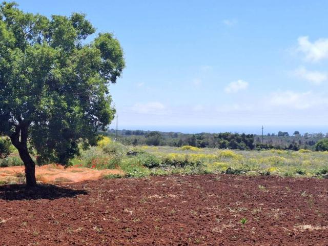 Terreno in vendita a Puglia, Lecce
