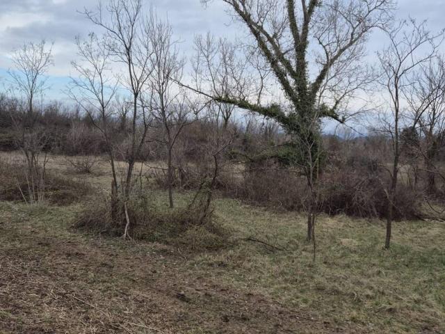 Terreno in vendita a Pavia Di Udine, Friuli-Venezia Giulia
