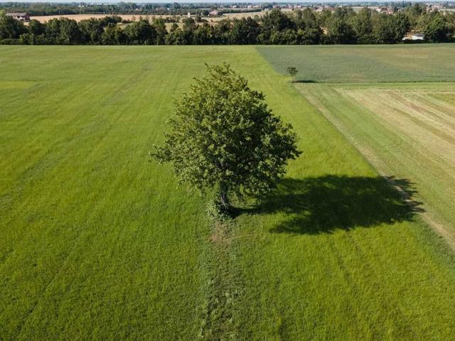 Terreno in vendita a Borgo Ticino, Pavia
