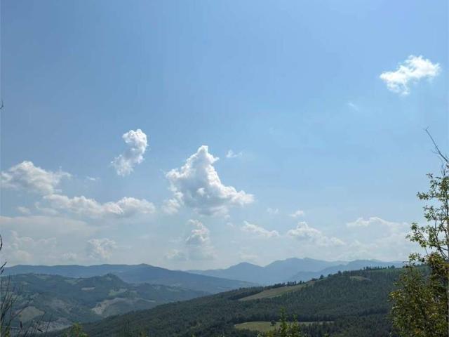 Terreno in vendita a Niviano, Pavullo nel Frignano