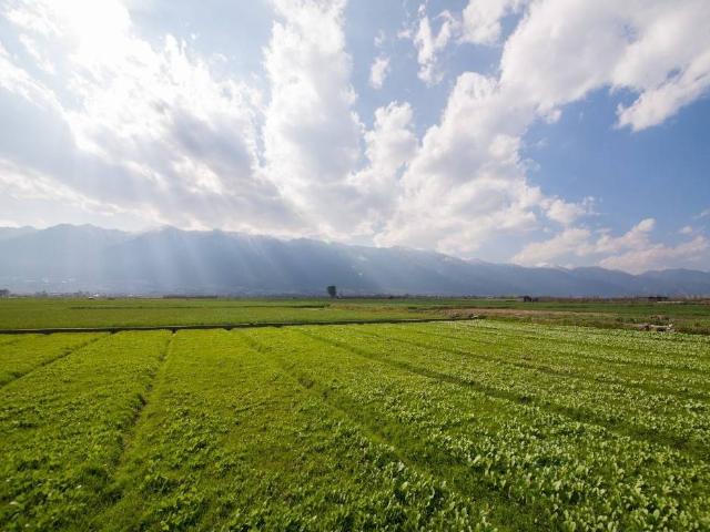 Terreno in vendita a Unione dei comuni del Frignano, Pavullo Nel Frignano