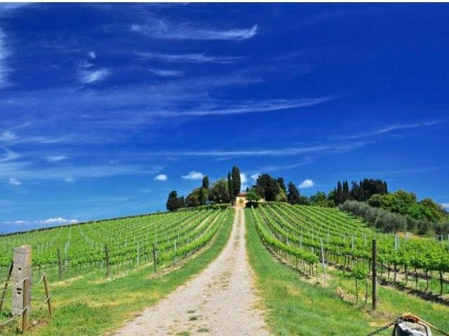 Terreno in vendita a Peccioli, Toscana