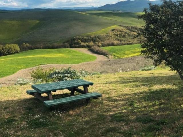 Terreno in vendita a Peccioli, Toscana