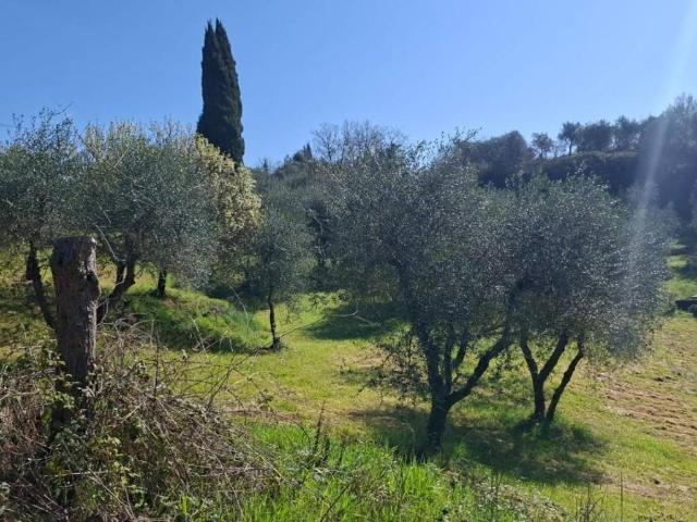 Terreno in vendita a Peccioli, Toscana