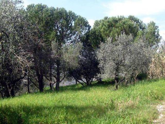 Terreno in vendita a Legoli, Peccioli