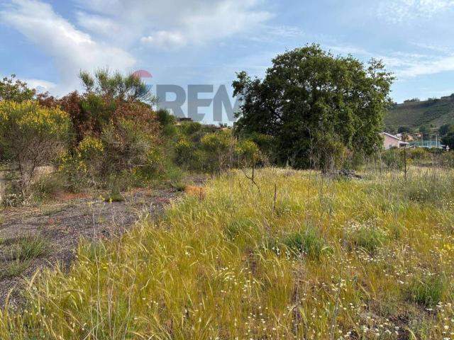 Terreno in vendita a Pedara, Sicilia