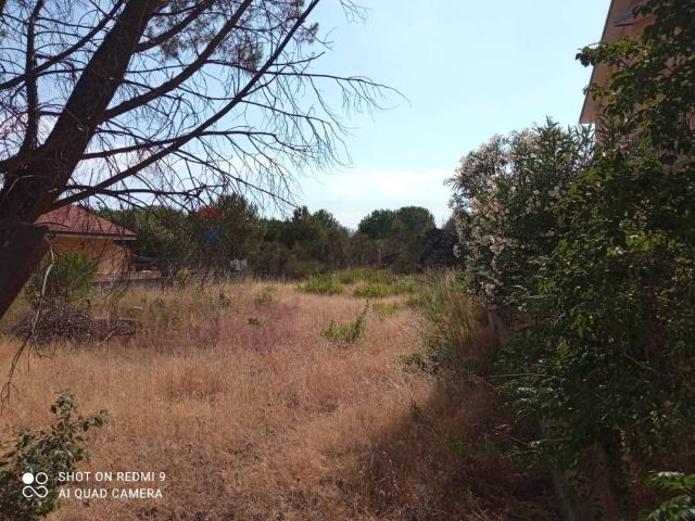 Terreno in vendita a Pedara, Sicilia