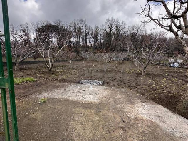 Terreno in vendita a Tarderia, Pedara