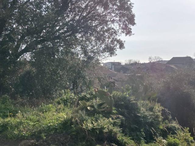 Terreno in vendita a Pedara, Sicilia