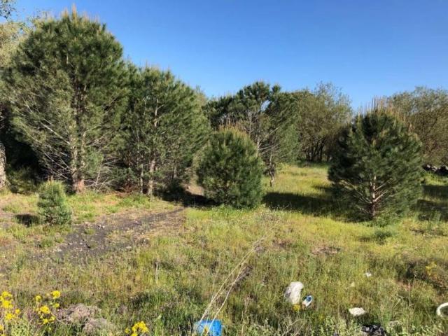 Terreno in vendita a Pedara, Sicilia