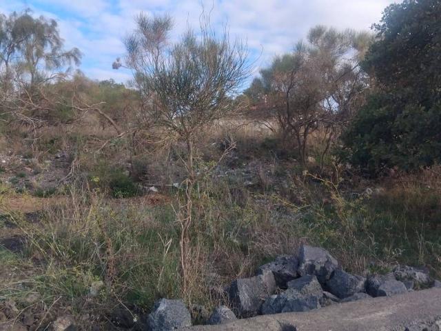 Terreno in vendita a Pedara, Sicilia