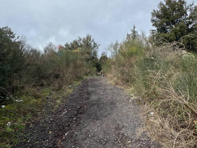 Terreno in vendita a Tarderia, Pedara