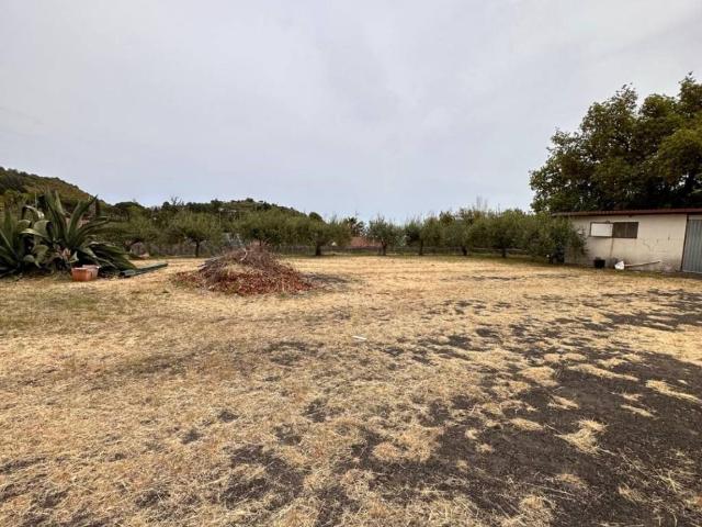 Terreno in vendita a Pedara, Sicilia