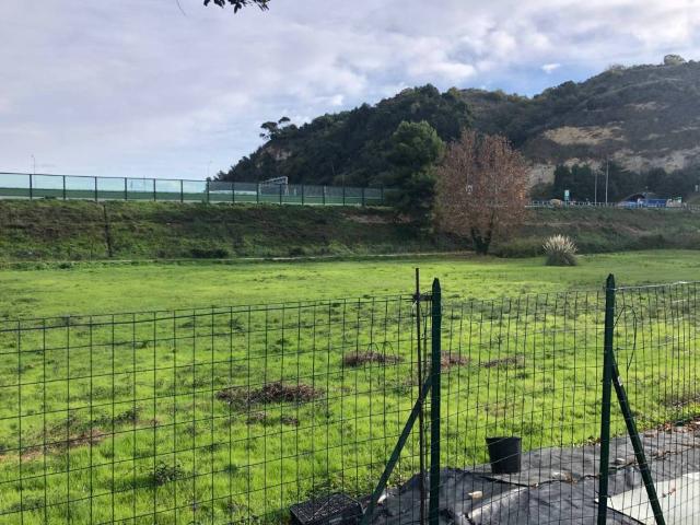 Terreno in vendita a Marche, Fermo