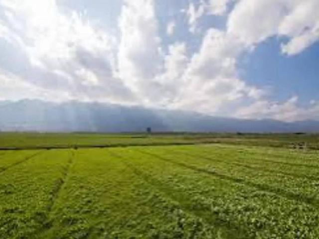 Terreno in vendita a Pegognaga, Lombardia
