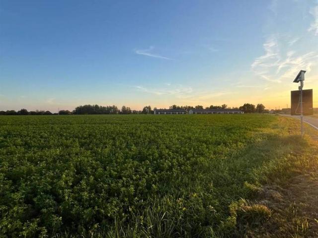 Terreno in vendita a Pegognaga, Lombardia